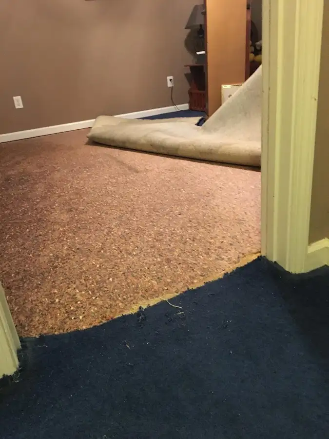 Carpet pad removal revealing water damage during Drying & Dehumidification in Ferndale