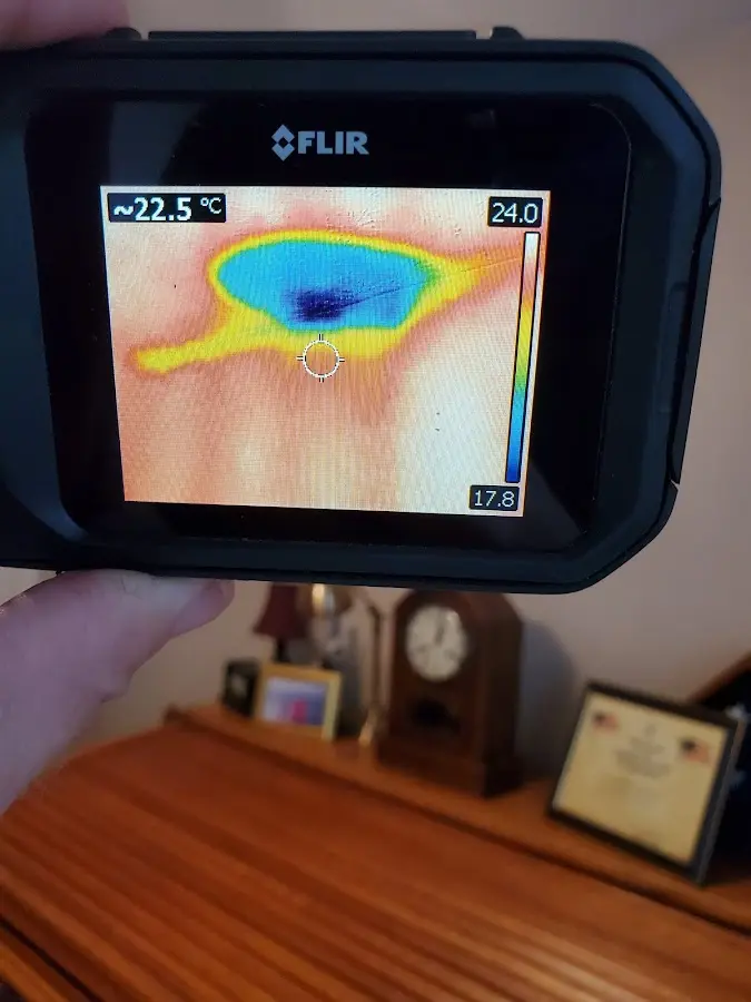 Thermal imaging inspection for water damage in Ferndale